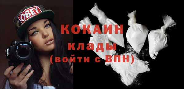 прущий лед Алзамай