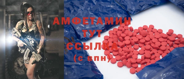 прущий лед Алзамай